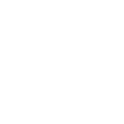 Holy Bird